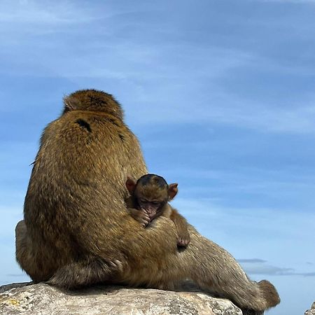 Sunny Gibraltar Διαμέρισμα Εξωτερικό φωτογραφία